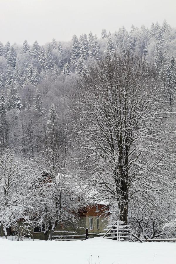 Apartmán Багрівчанка Jaremče Exteriér fotografie