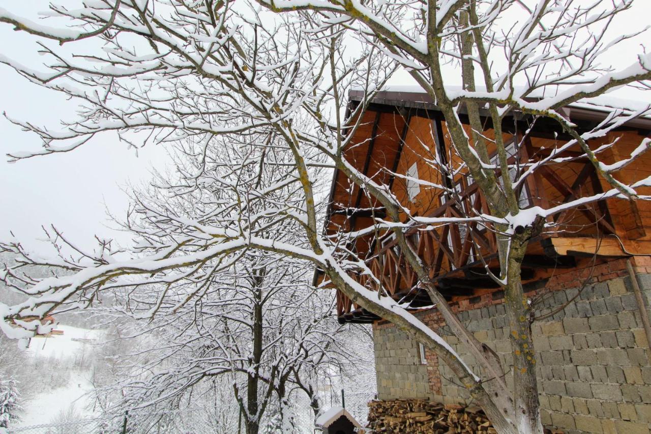 Apartmán Багрівчанка Jaremče Exteriér fotografie