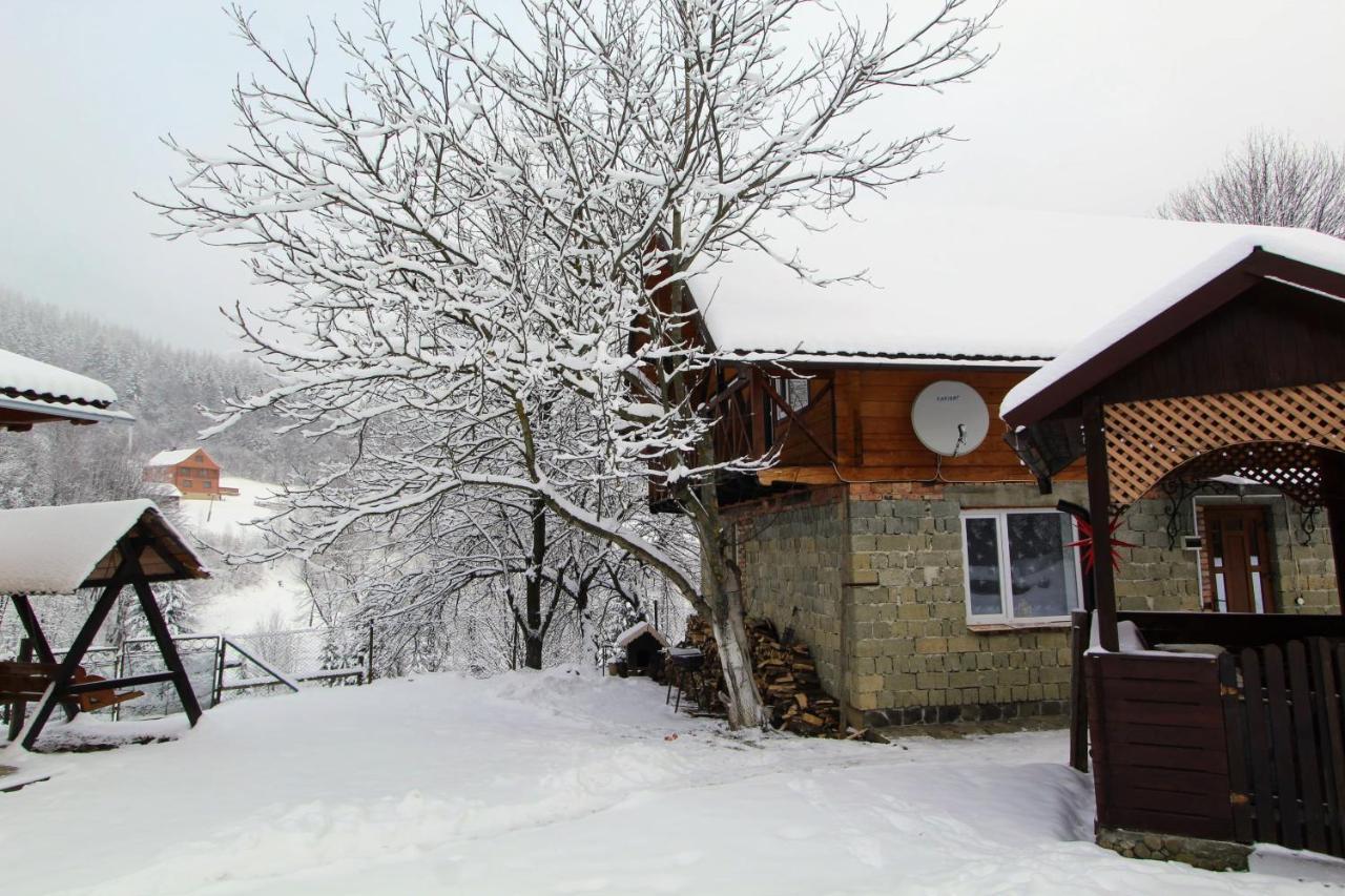 Apartmán Багрівчанка Jaremče Exteriér fotografie
