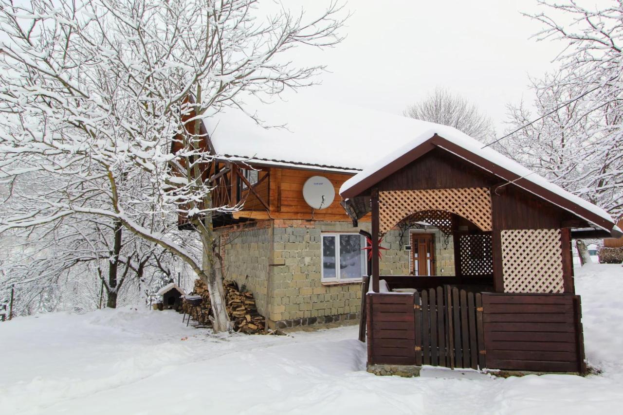 Apartmán Багрівчанка Jaremče Exteriér fotografie
