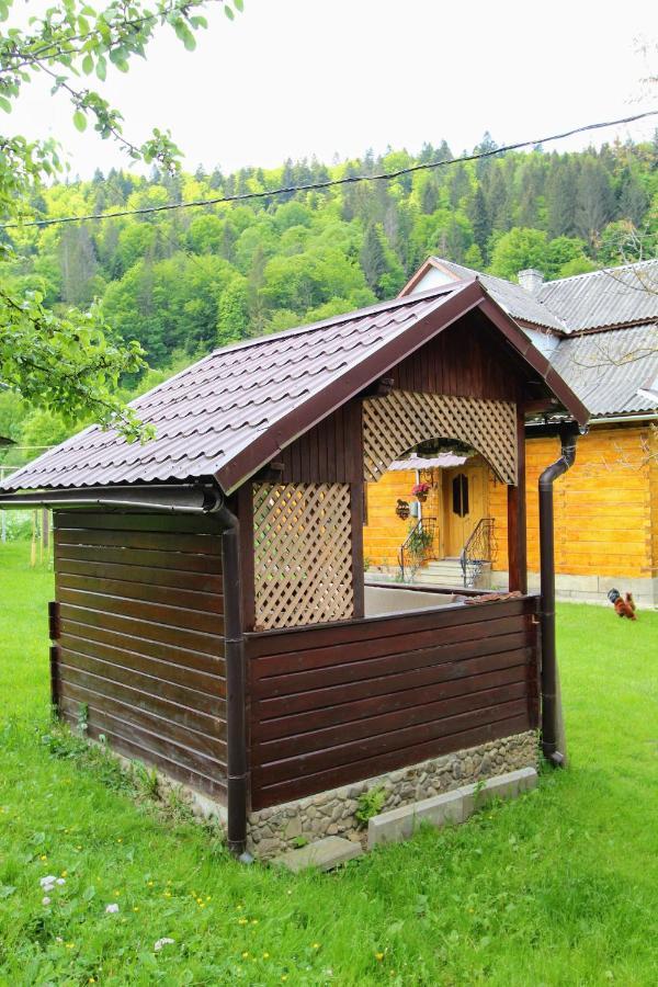 Apartmán Багрівчанка Jaremče Exteriér fotografie
