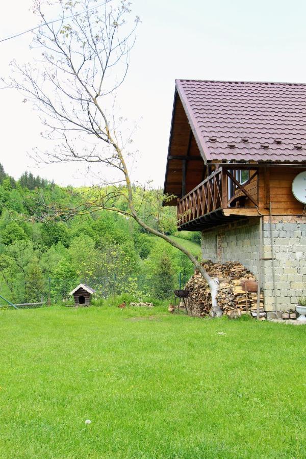 Apartmán Багрівчанка Jaremče Exteriér fotografie