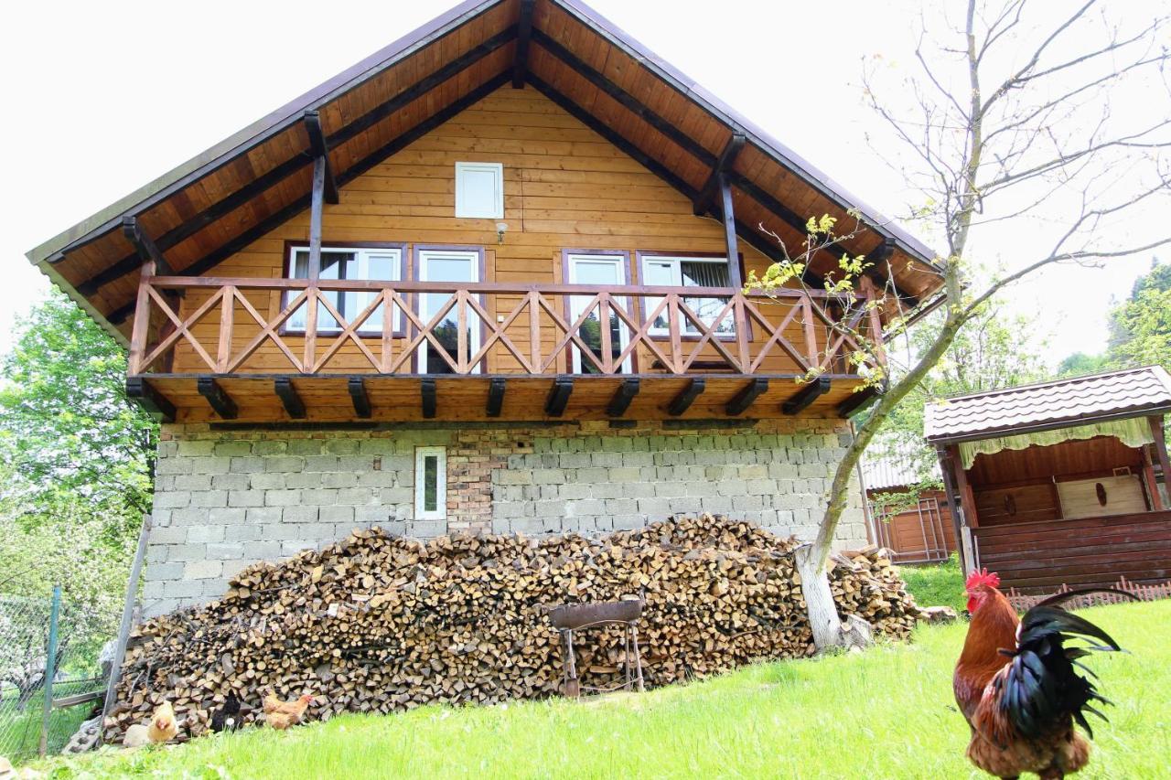Apartmán Багрівчанка Jaremče Exteriér fotografie